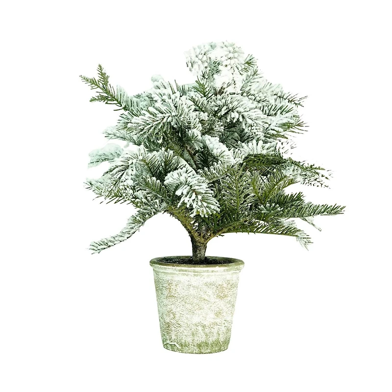 20" Flocked Pine Tree in Faux Paper Pot