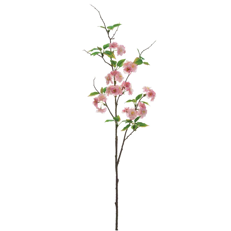 Pink Cherry Blossom Stem