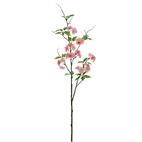 Pink Cherry Blossom Stem
