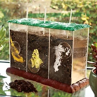 Now You See It Now You Don't See - Through Compost Container