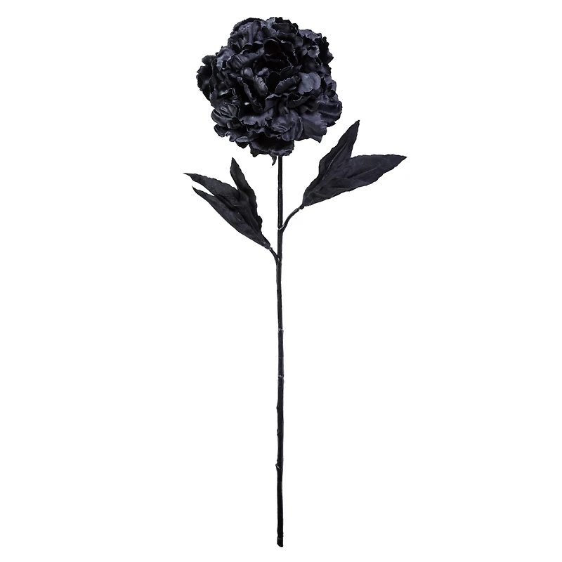 12 Pack: Black Peony Stem by Ashland®