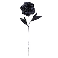 12 Pack: Black Peony Stem by Ashland®