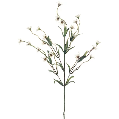 Cream Wild Daisy Spray by Ashland®