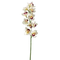 Cream & Burgundy Cymbidium Orchid Stem