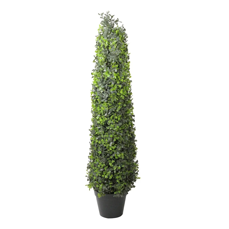 36" Two Toned Conical Shaped Shrub Potted Topiary