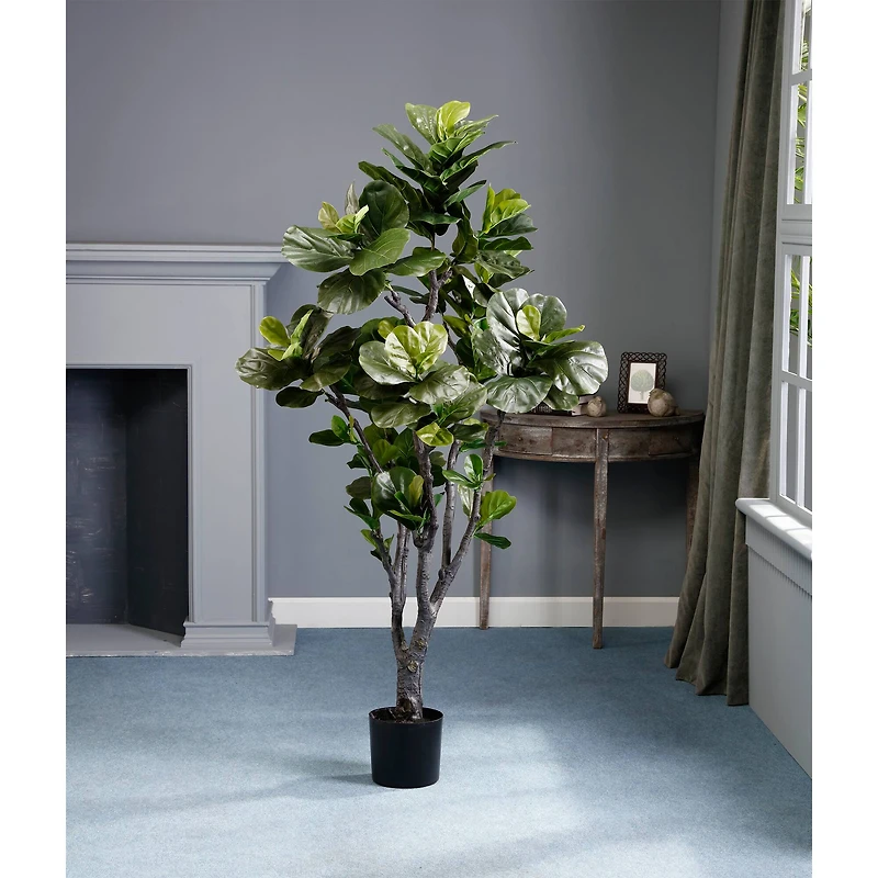 6 Ft. Fiddle Leaf Fig Tree