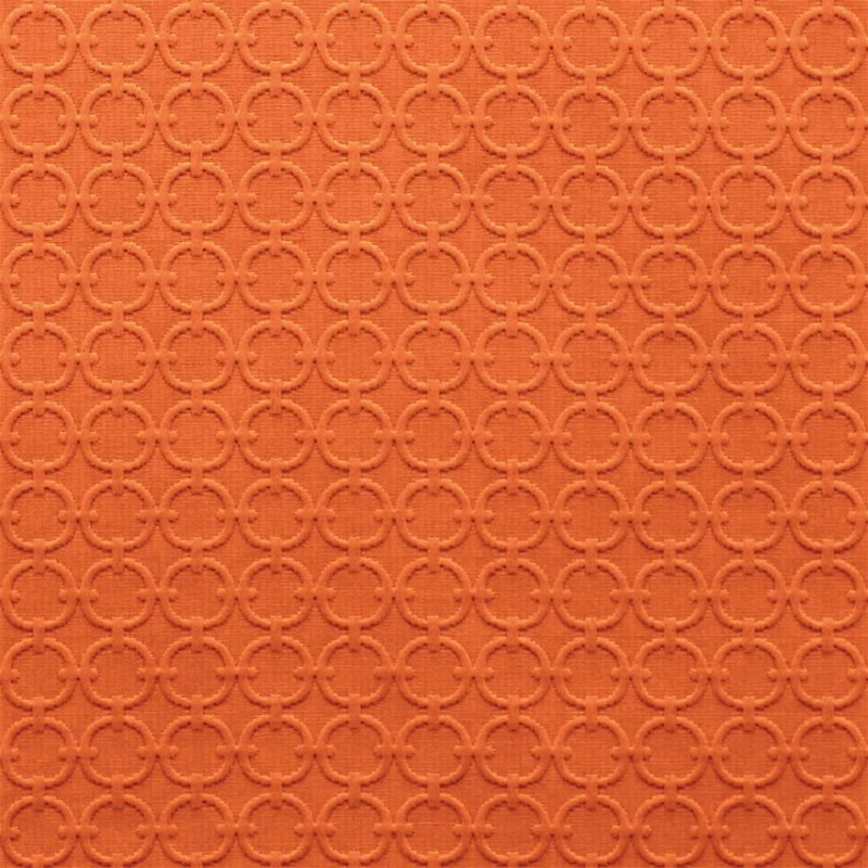 Full Circle Tiger Lily