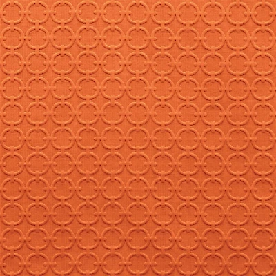 Full Circle Tiger Lily