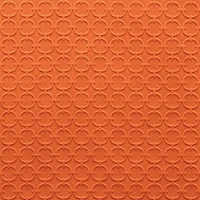 Full Circle Tiger Lily