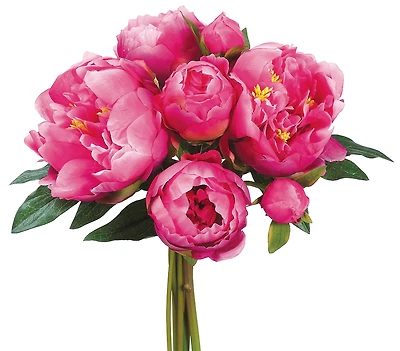 Dark Pink Peony Bouquet