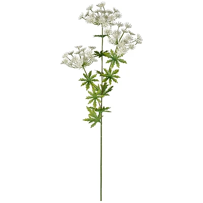 12 Pack: White Queen Anne's Lace Spray by Ashland®