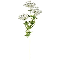 12 Pack: White Queen Anne's Lace Spray by Ashland®