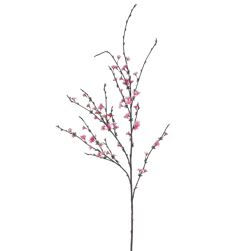 Beauty Cherry Blossom Stem