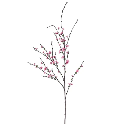 Beauty Cherry Blossom Stem