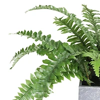 13" Artificial Boston Fern In Stone Look Paper Maché Pot