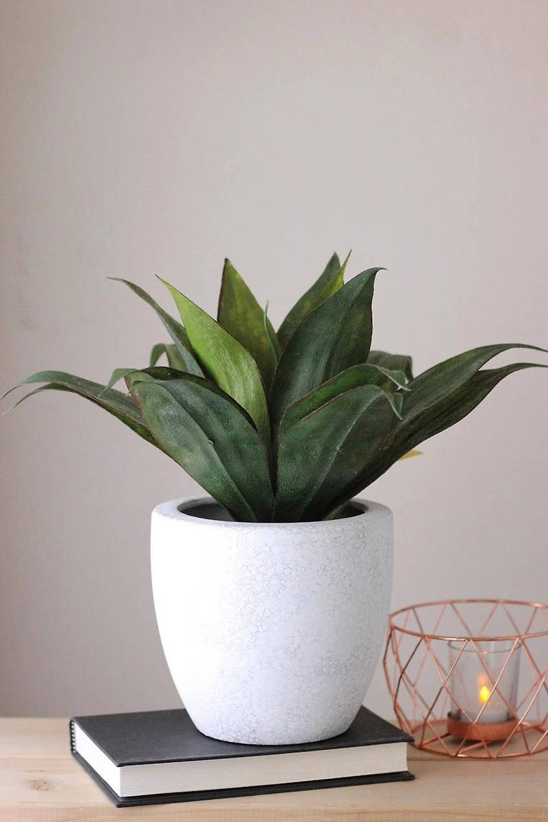 13" Green  Artificial Agave in Weathered White Ceramic Pot