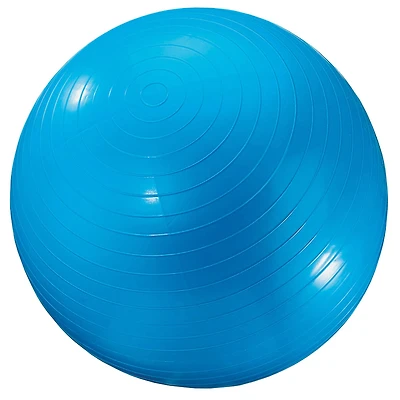 Martin Sports 24" Blue Exercise Ball