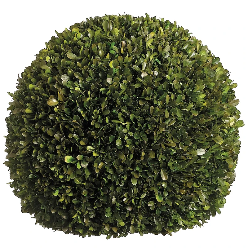 17" Preserved Boxwood Ball
