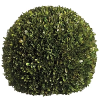 17" Preserved Boxwood Ball