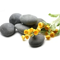 Large Washed Black Stones