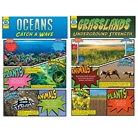 Biomes Bulletin Board Set