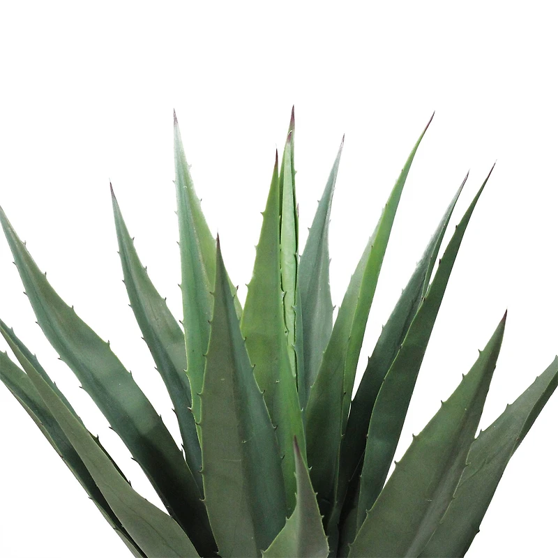 31.5" Potted Artificial Green Agave Americana Succulent
