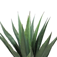 31.5" Potted Artificial Green Agave Americana Succulent