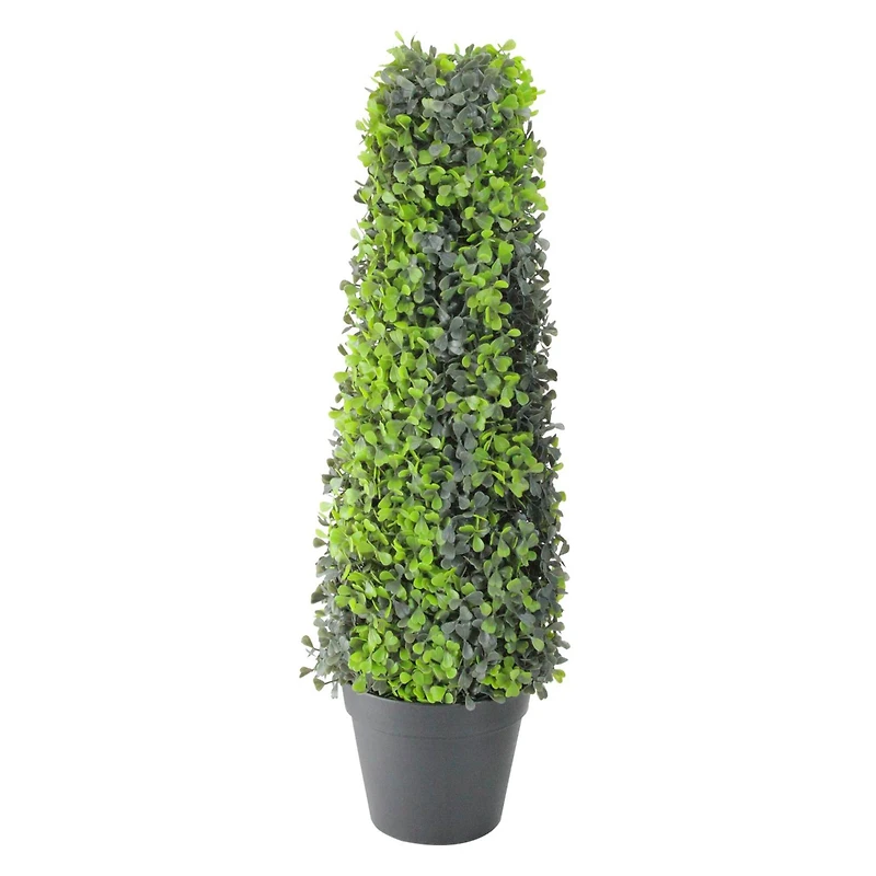 25" Two Toned Conical Shaped Potted Shrub Topiary
