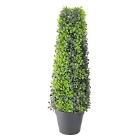 25" Two Toned Conical Shaped Potted Shrub Topiary