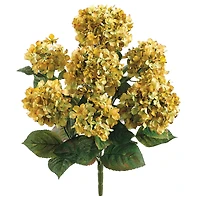 20" Hydrangea Bush, Yellow