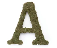 Lillian Rose Large Moss Monogram