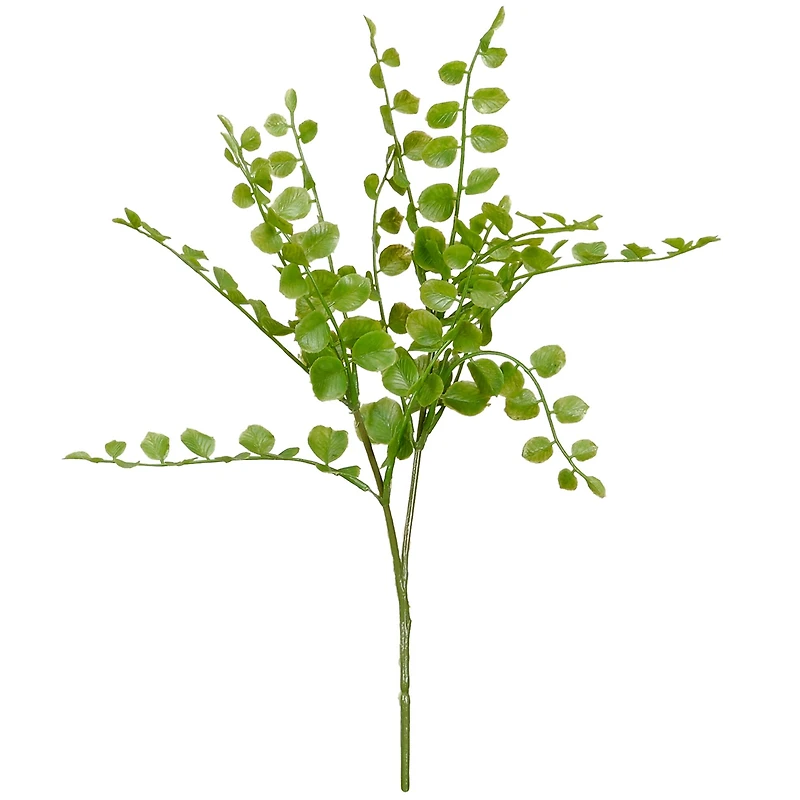 Assorted 11" Fern Pick by Ashland®, 1pc.