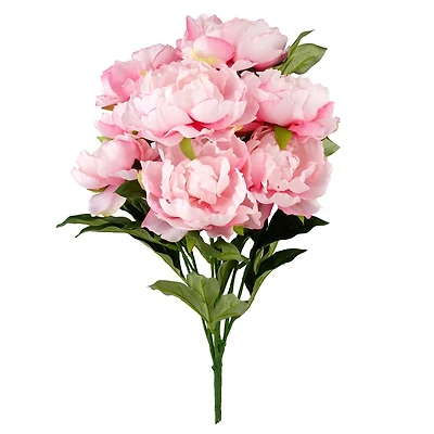 Pink Peony Bush by Ashland®
