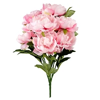 Pink Peony Bush by Ashland®