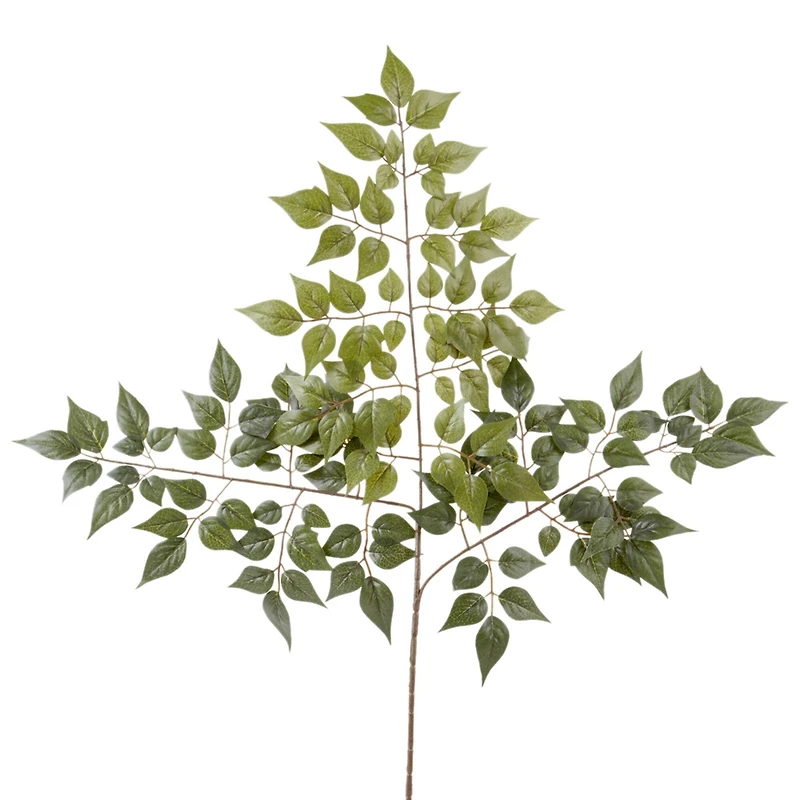 China Dollar Spray Floral Essentials by Ashland®