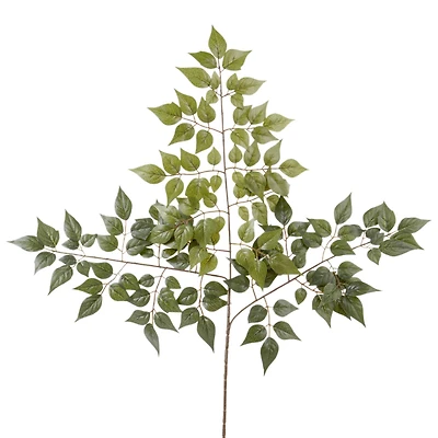 China Dollar Spray Floral Essentials by Ashland®