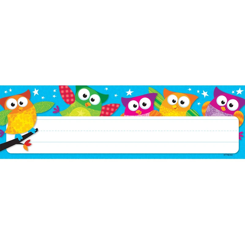 Trend Enterprises® Desk Toppers® 2.88" x 9.5" Owl-Stars!® Name Plates, 12 Pack Bundle