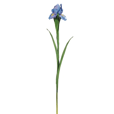 28" Iris Stem, Lavender Blue