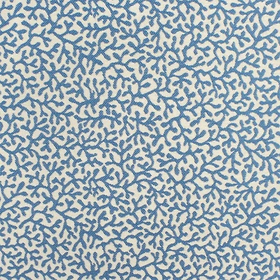 Outdoor Barrier Reef Seaside