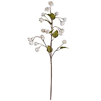 12 Pack: Cream Hops Spray by Ashland®