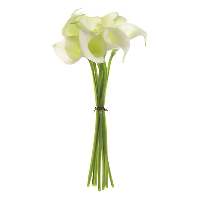 12 Pack: White Calla Lily Bundle