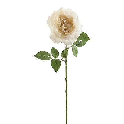 White Sophia Rose Stem by Ashland®