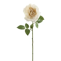 White Sophia Rose Stem by Ashland®