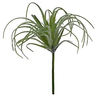 24 Pack: Assorted Tillandsia Pick by Ashland®