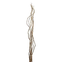 Natural Tall Curly Willow by Ashland®