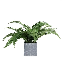 13" Artificial Boston Fern In Stone Look Paper Maché Pot
