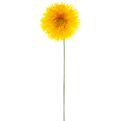 12 Pack: Yellow Spider Gerber Daisy Stem by Ashland®