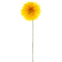 12 Pack: Yellow Spider Gerber Daisy Stem by Ashland®
