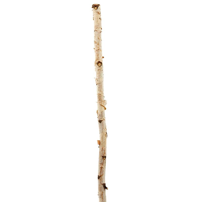 Ashland® Natural River Birch