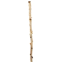 Ashland® Natural River Birch